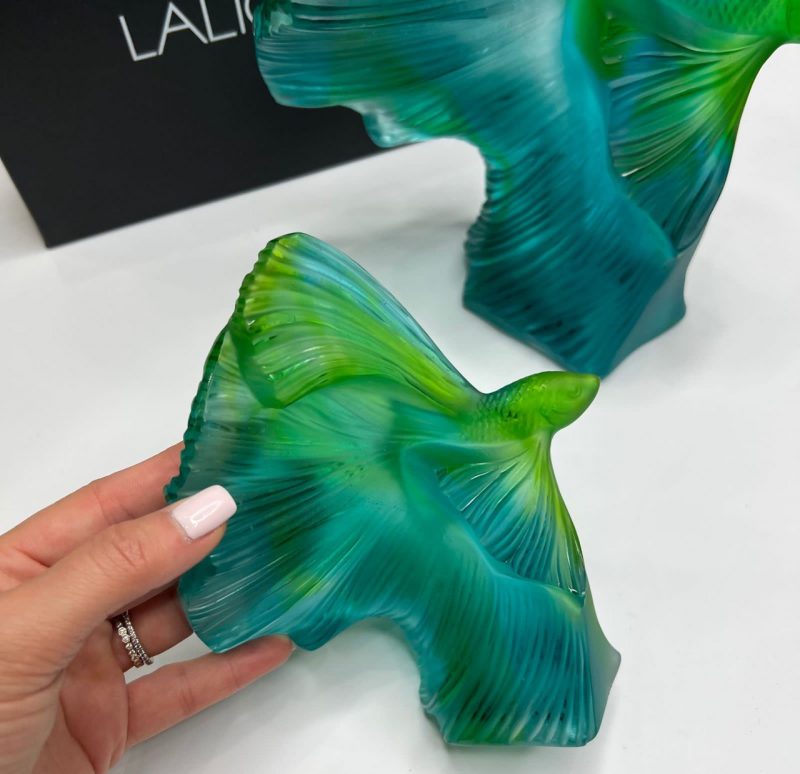 photo_5231150376051397174_y