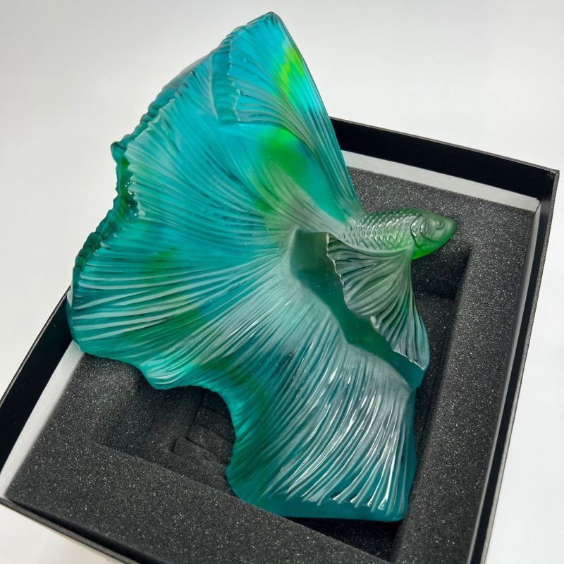 photo_5231150376051397175_y