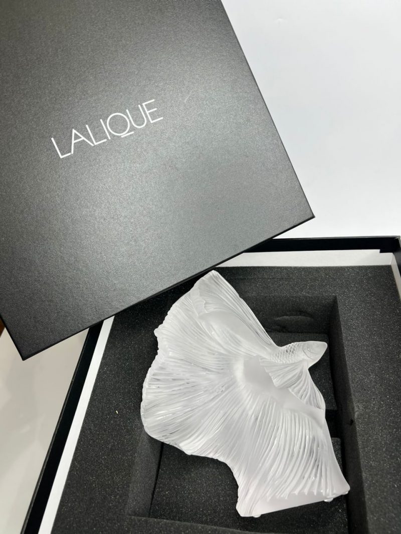 photo_5248958693440082392_y